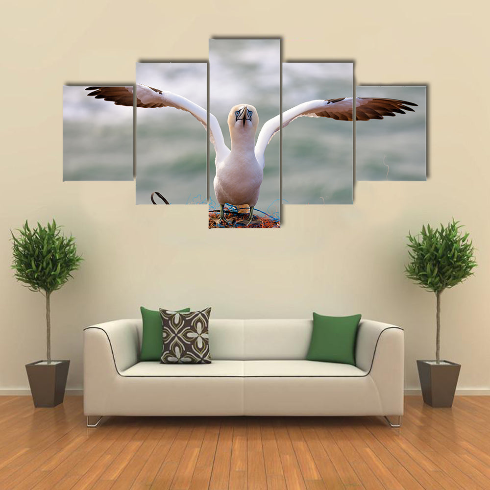 Northern Gannet Multi Panel Canvas Wall Art