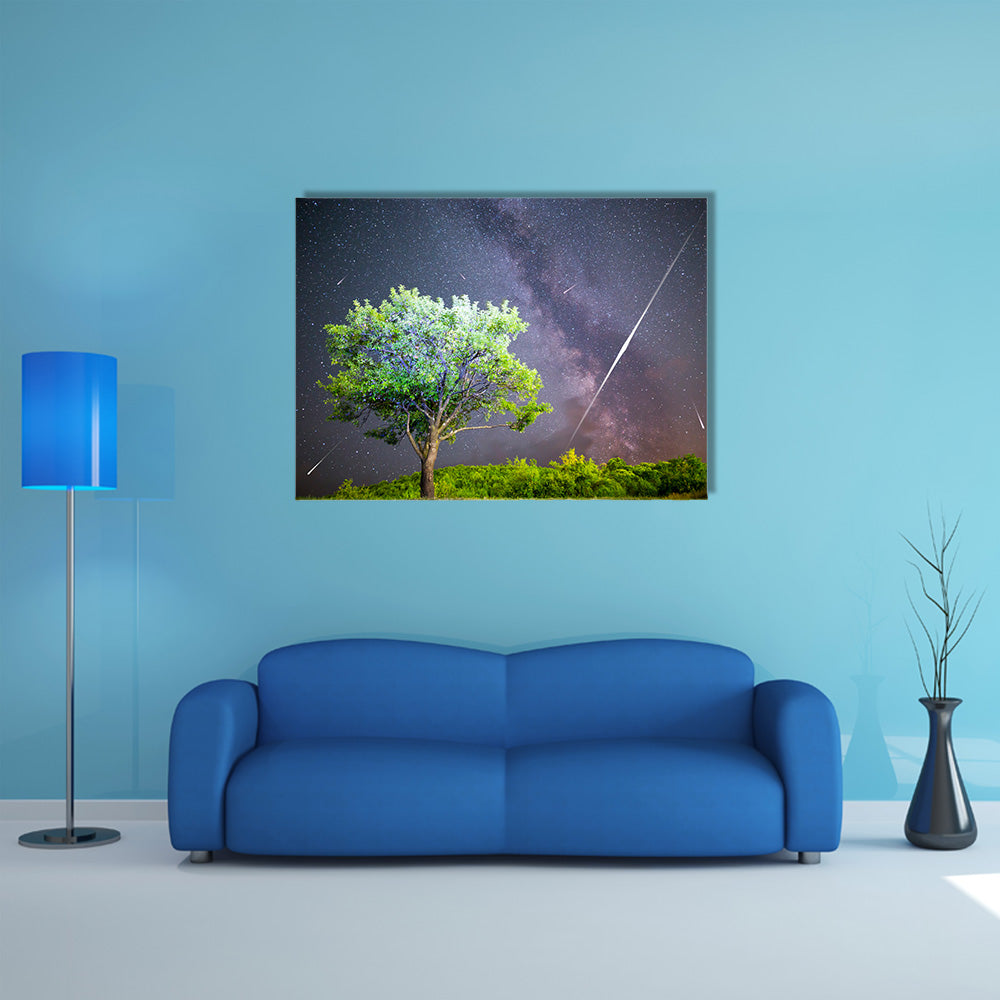 An Ethereal View Of Meteor Shower In The Lush Grass Land Multi Panel Canvas Wall Art