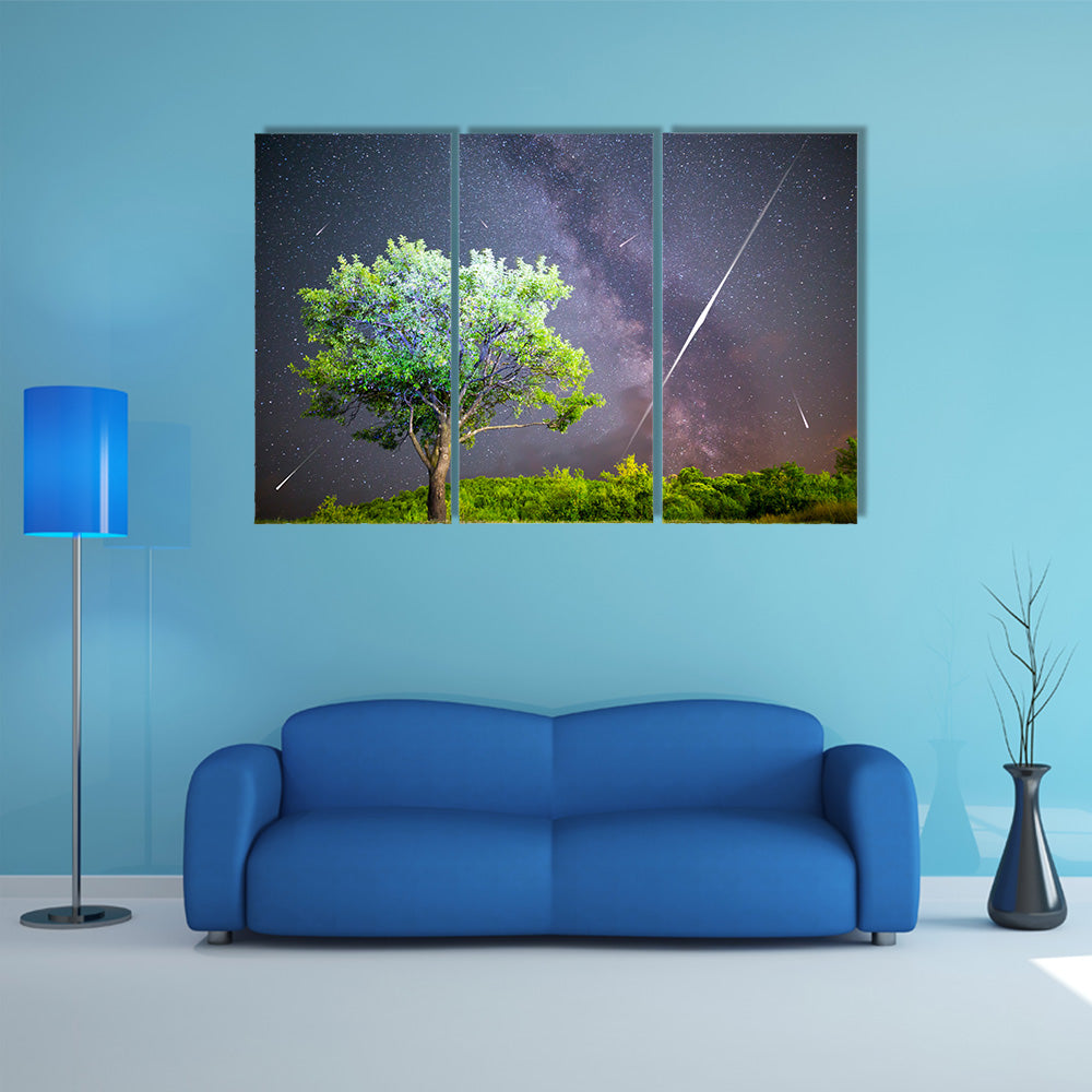 An Ethereal View Of Meteor Shower In The Lush Grass Land Multi Panel Canvas Wall Art