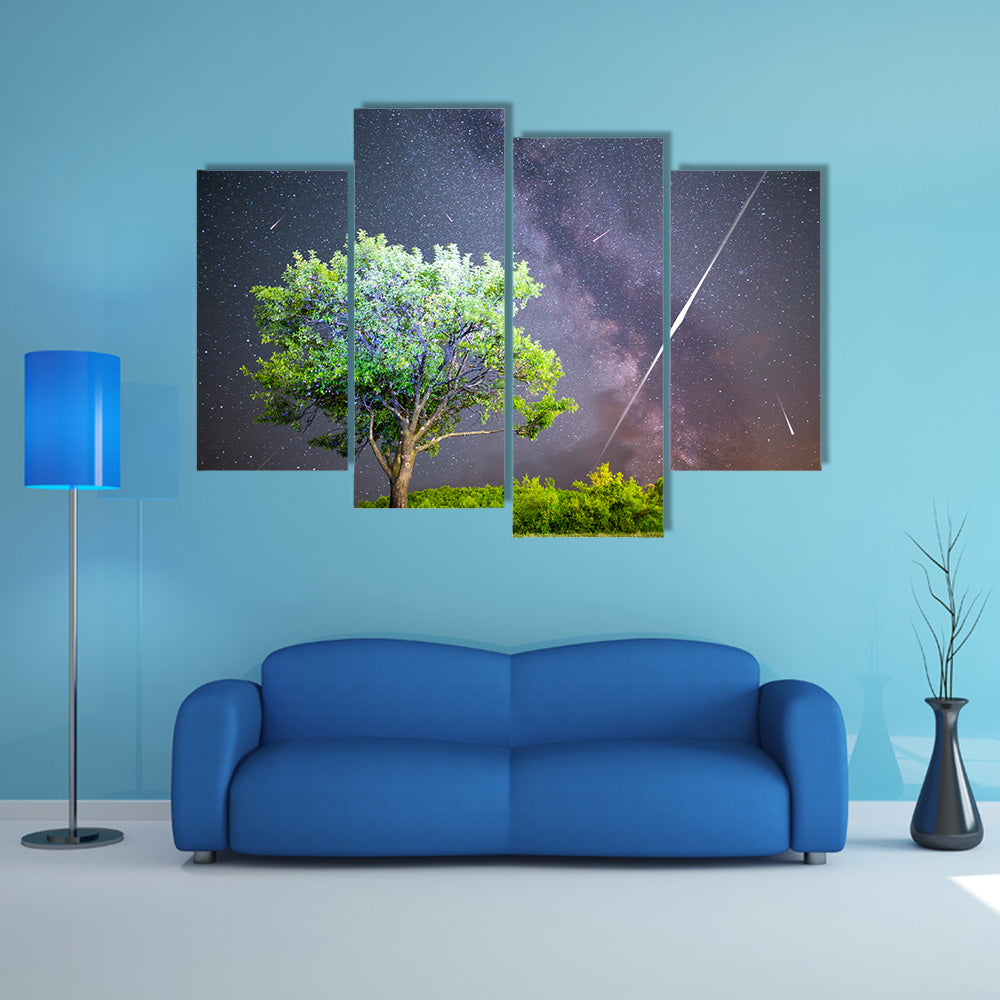 An Ethereal View Of Meteor Shower In The Lush Grass Land Multi Panel Canvas Wall Art