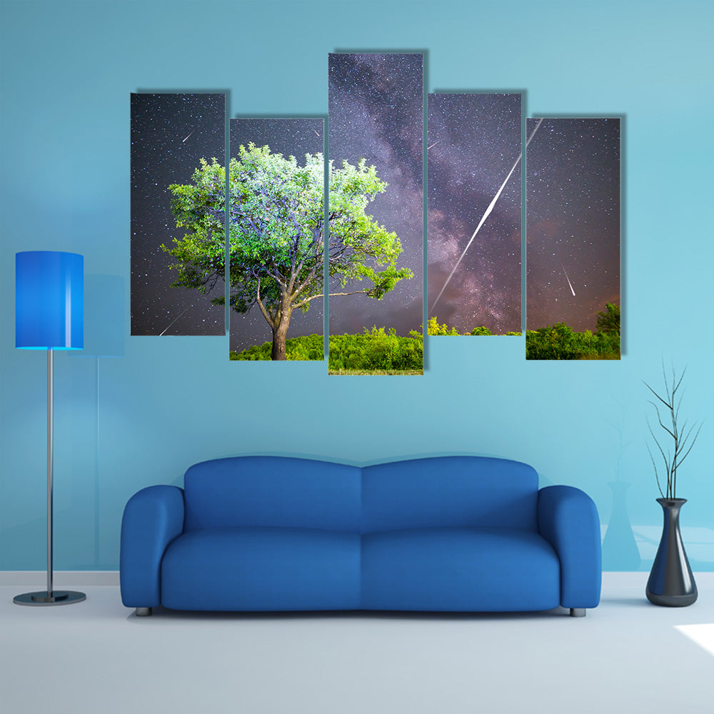 An Ethereal View Of Meteor Shower In The Lush Grass Land Multi Panel Canvas Wall Art