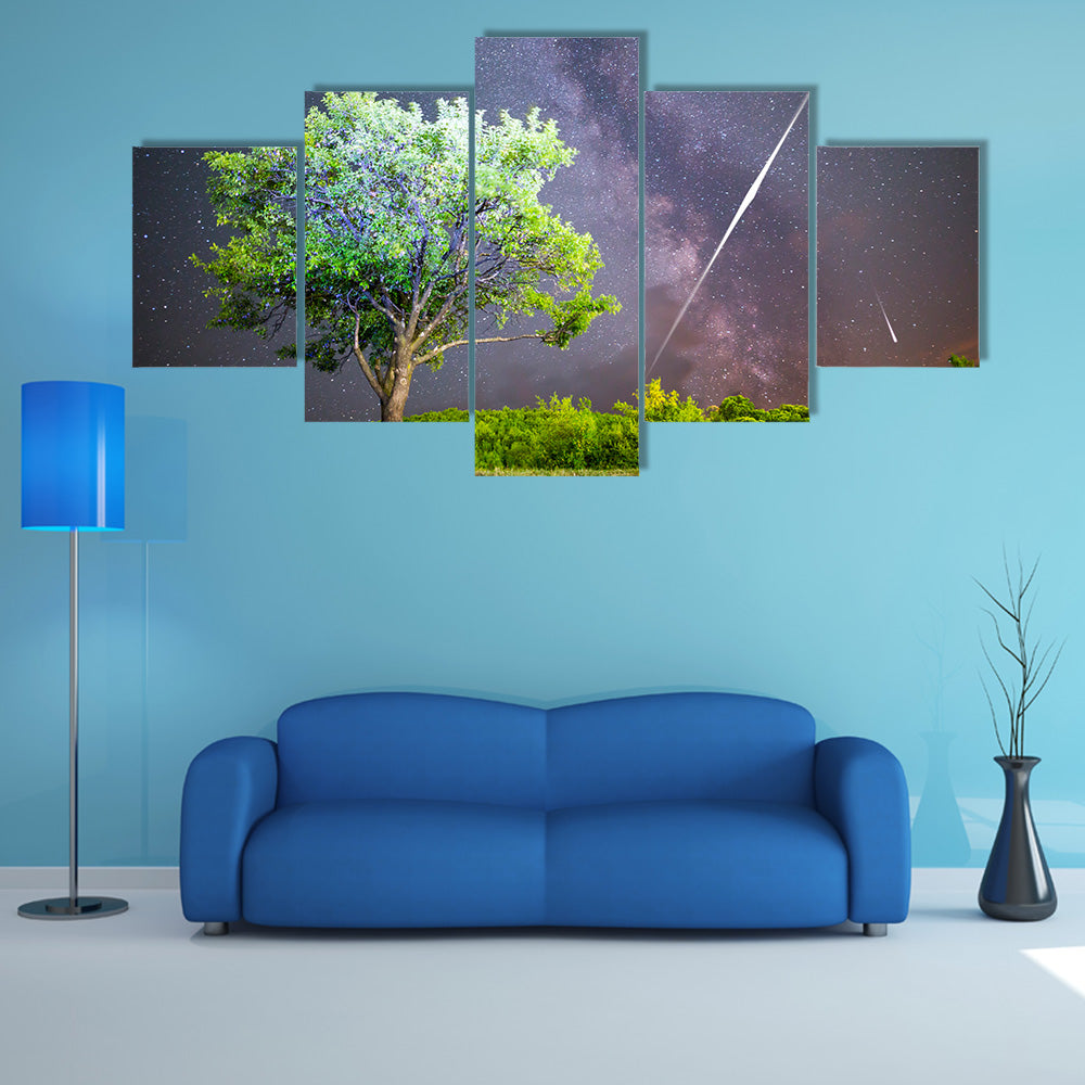 An Ethereal View Of Meteor Shower In The Lush Grass Land Multi Panel Canvas Wall Art