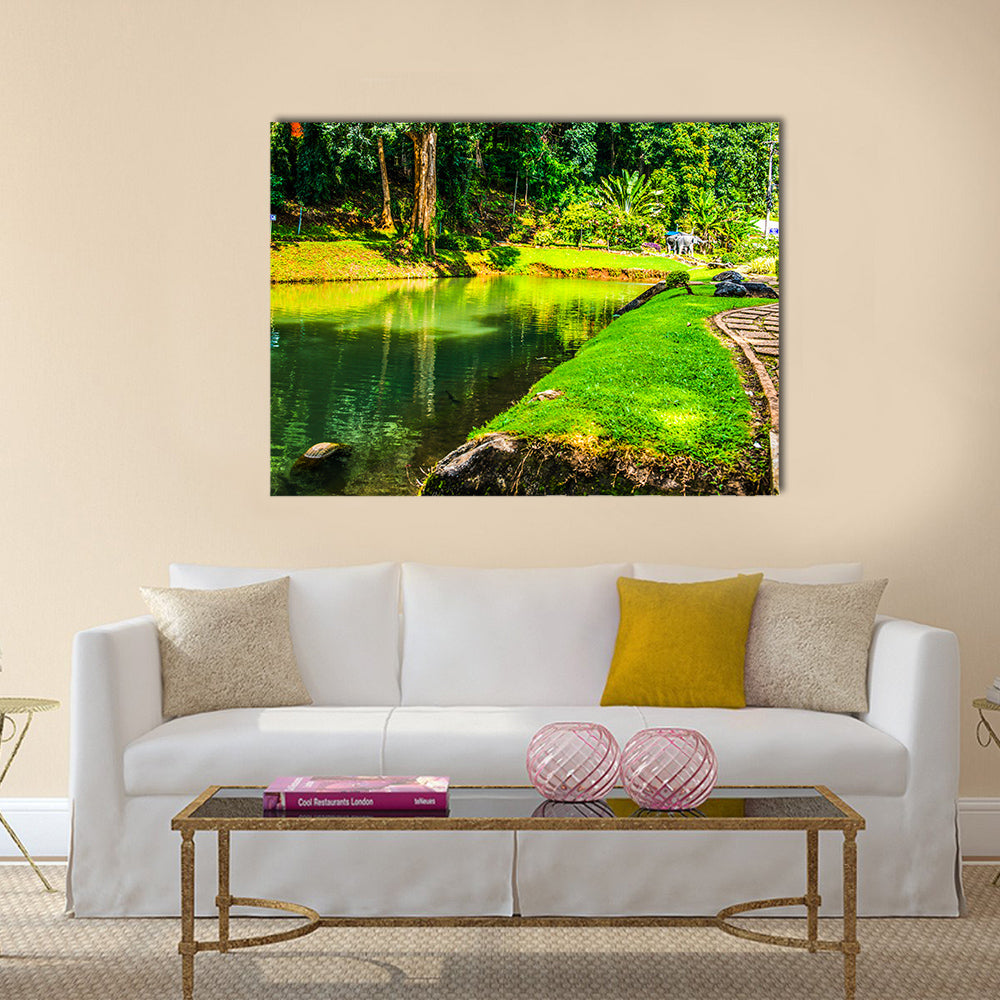 The Mesmerizing Public Park At Samoeng District, Thailand Multi Panel Canvas Wall Art Set
