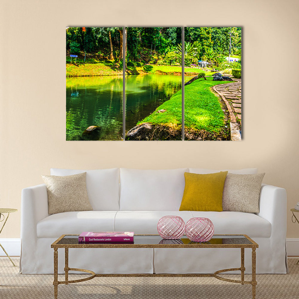 The Mesmerizing Public Park At Samoeng District, Thailand Multi Panel Canvas Wall Art Set