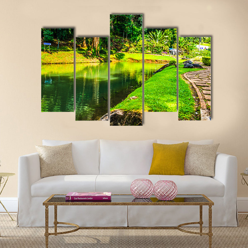 The Mesmerizing Public Park At Samoeng District, Thailand Multi Panel Canvas Wall Art Set
