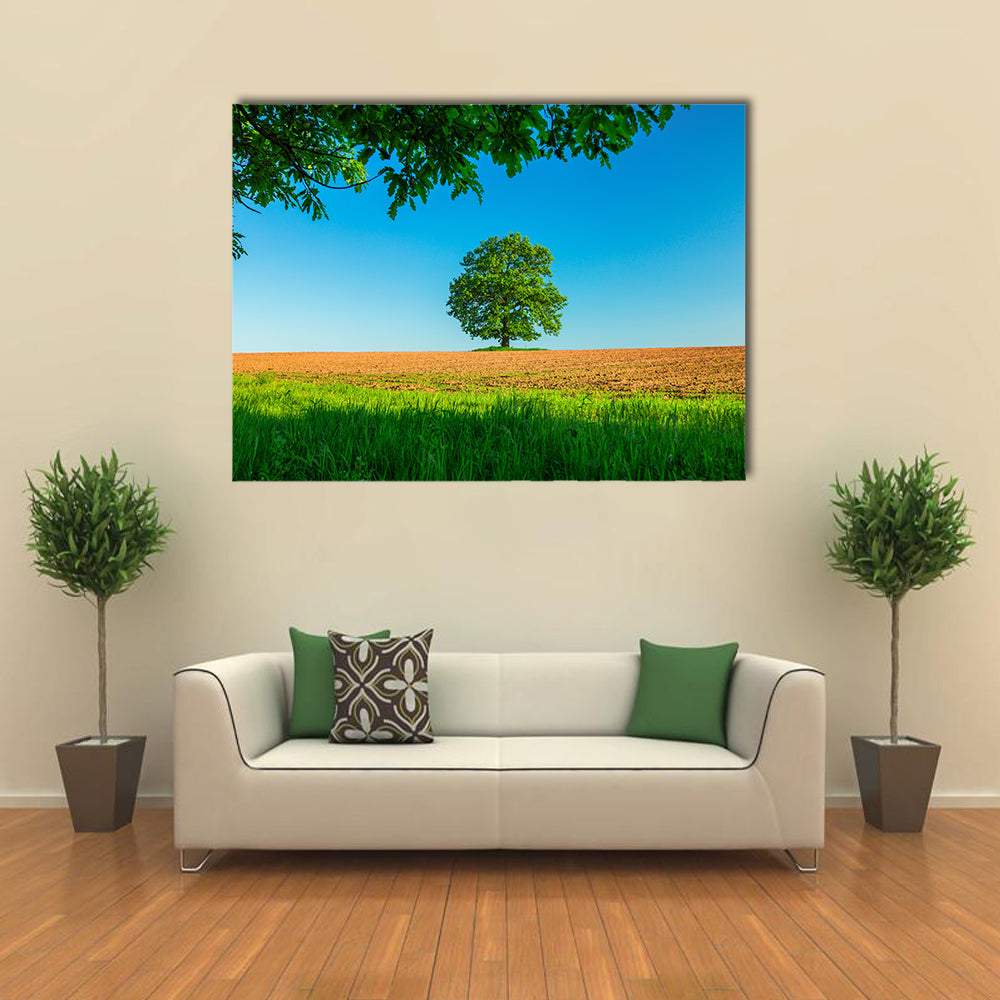 Tree in the field and blue sky Multi Panel Canvas Wall Art