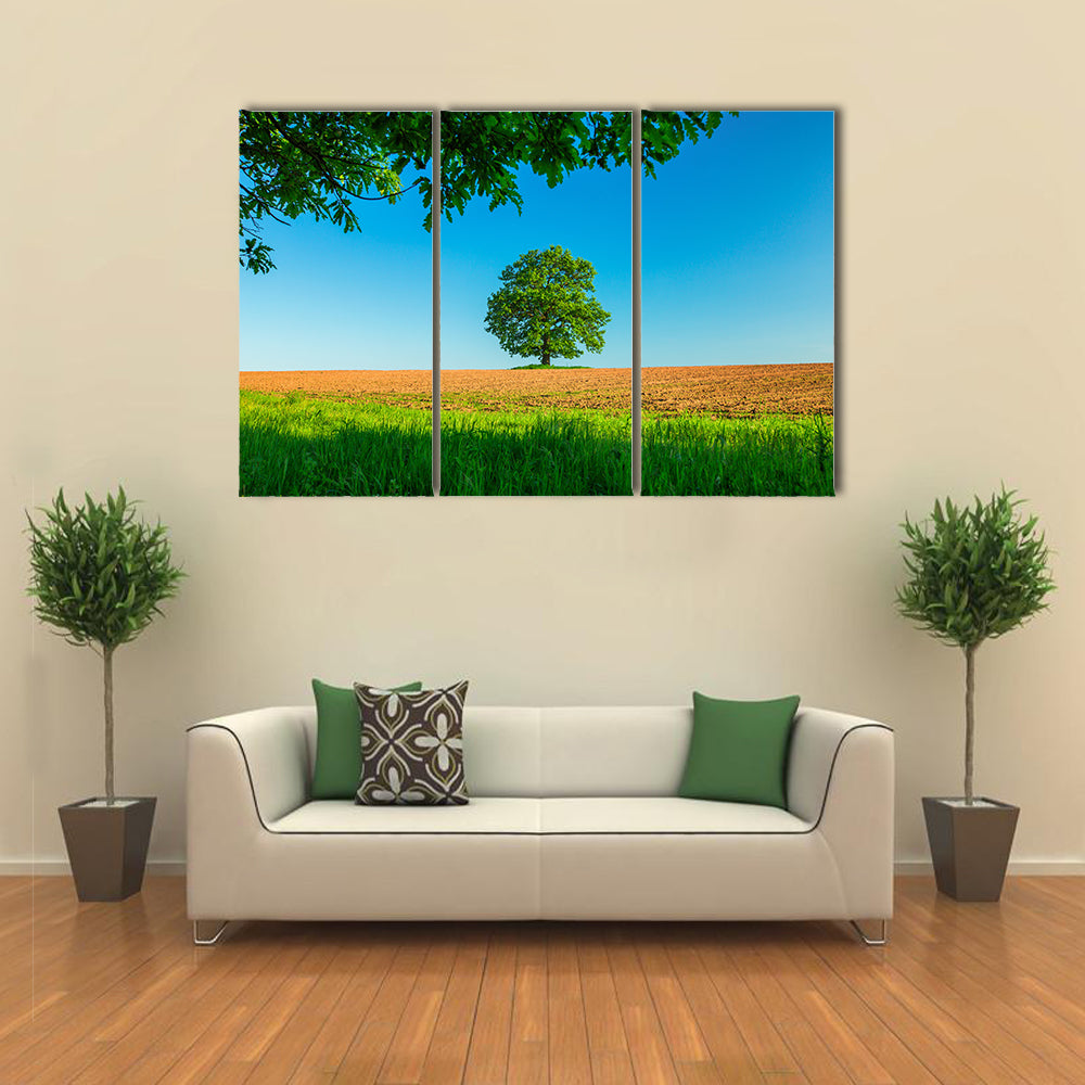 Tree in the field and blue sky Multi Panel Canvas Wall Art