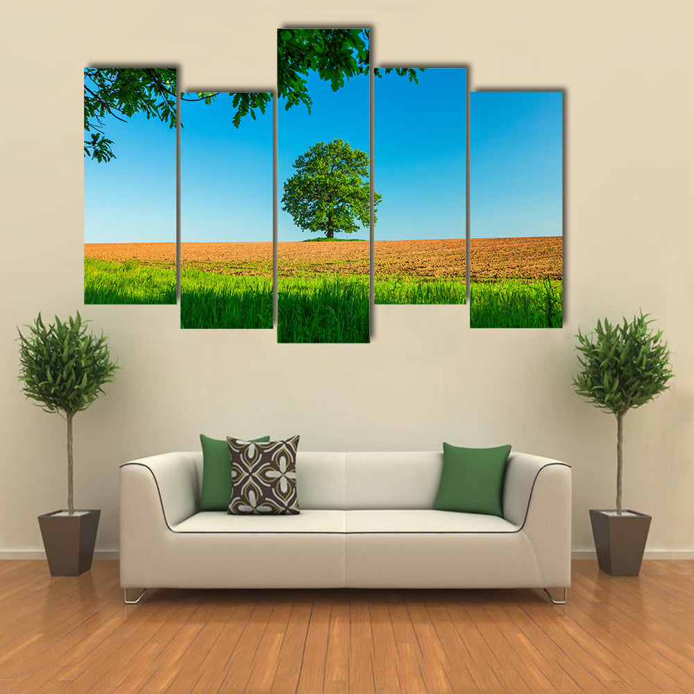 Tree in the field and blue sky Multi Panel Canvas Wall Art