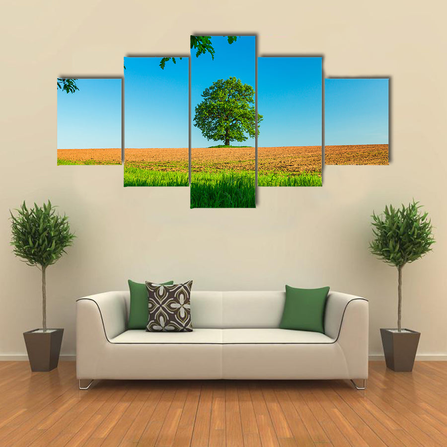 Tree in the field and blue sky Multi Panel Canvas Wall Art