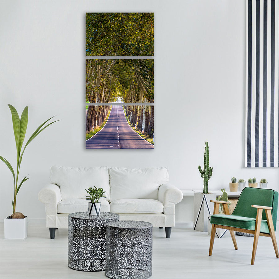 avenue trees nature landscape away Vertical Canvas Wall Art