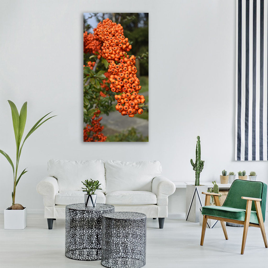berries fruit orange tree autumn Vertical Canvas Wall Art