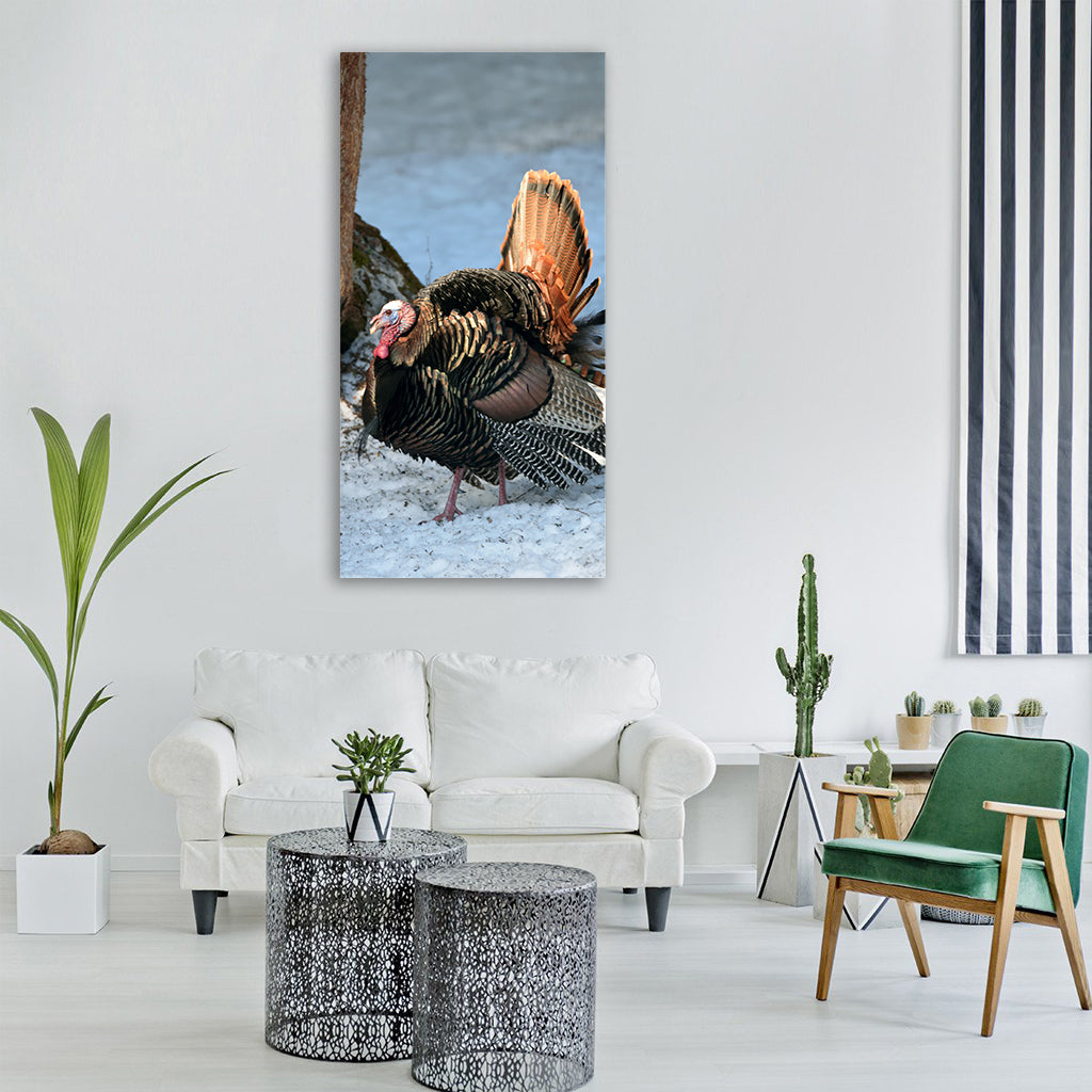 bird wild turkey spring Vertical Canvas Wall Art