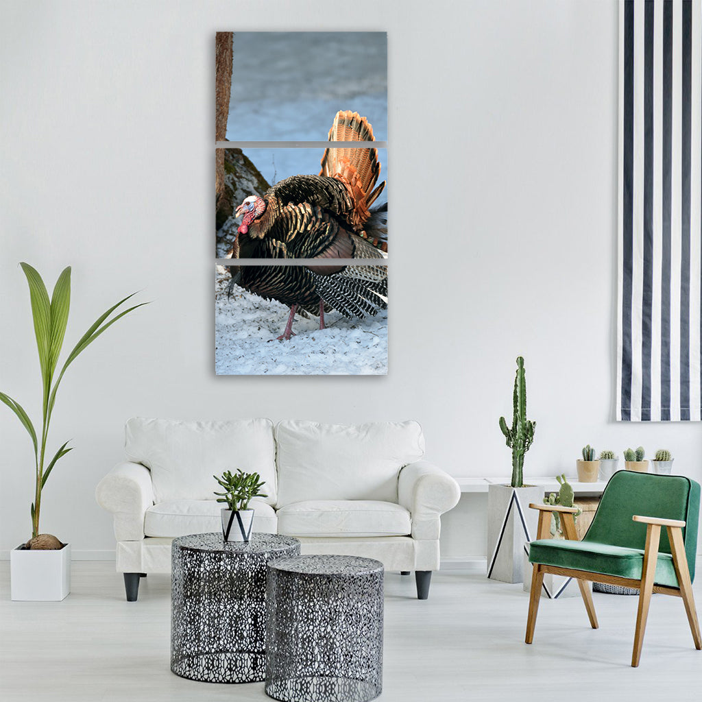 bird wild turkey spring Vertical Canvas Wall Art