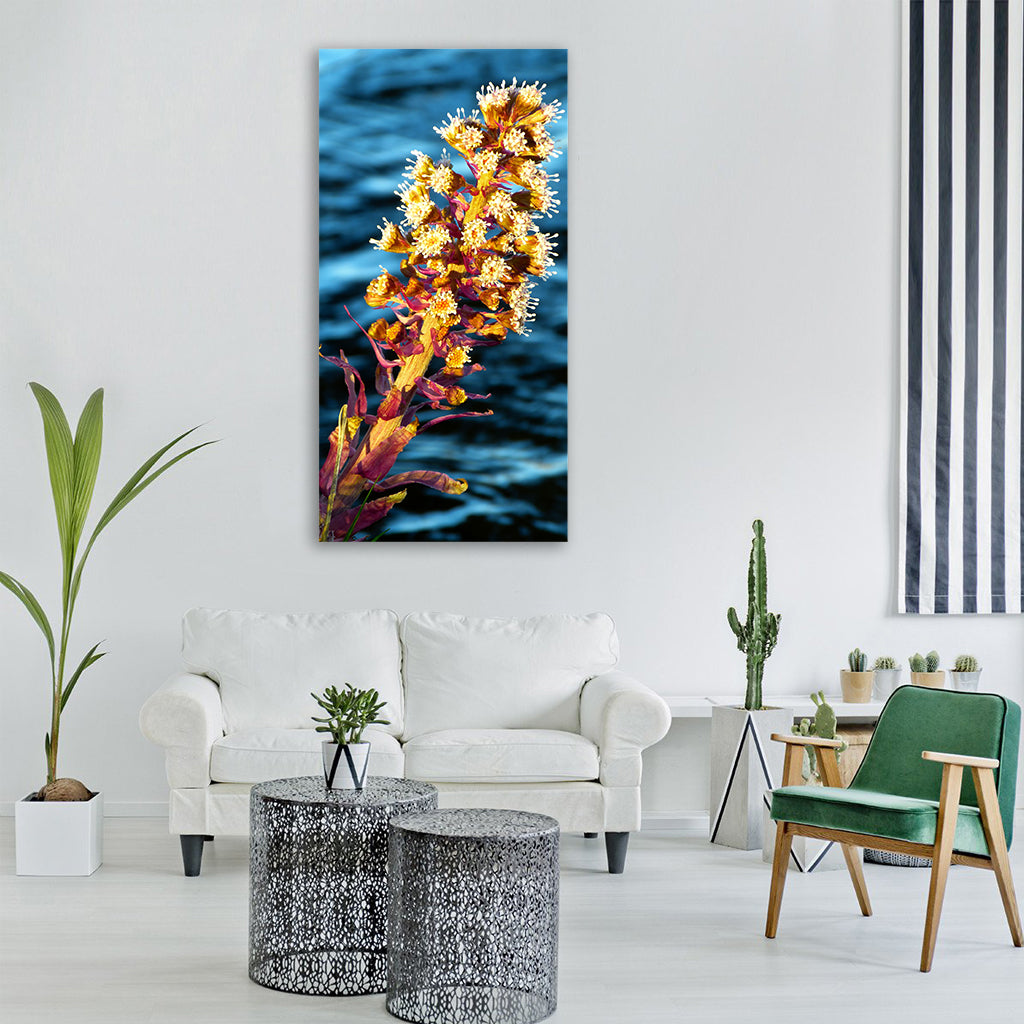 butterbur nature plant flowers Vertical Canvas Wall Art