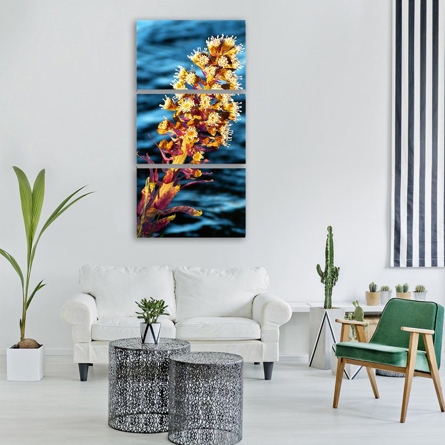 butterbur nature plant flowers Vertical Canvas Wall Art