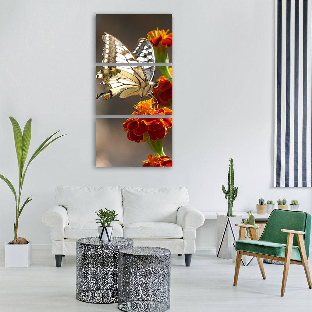 butterfly papilio machaon Vertical Canvas Wall Art