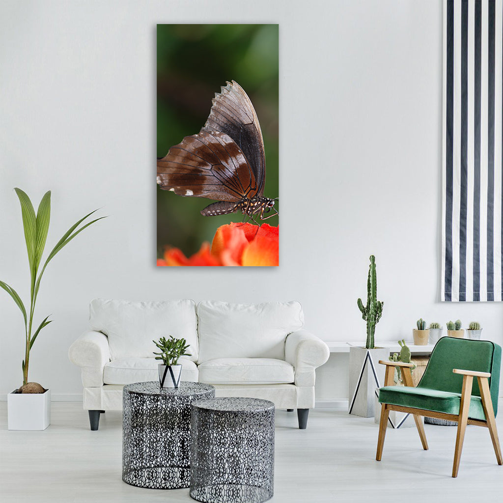 butterfly animal insect Vertical Canvas Wall Art