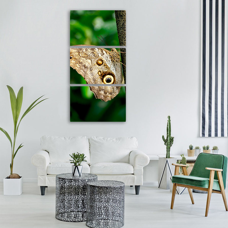butterfly exotic insect tropical Vertical Canvas Wall Art