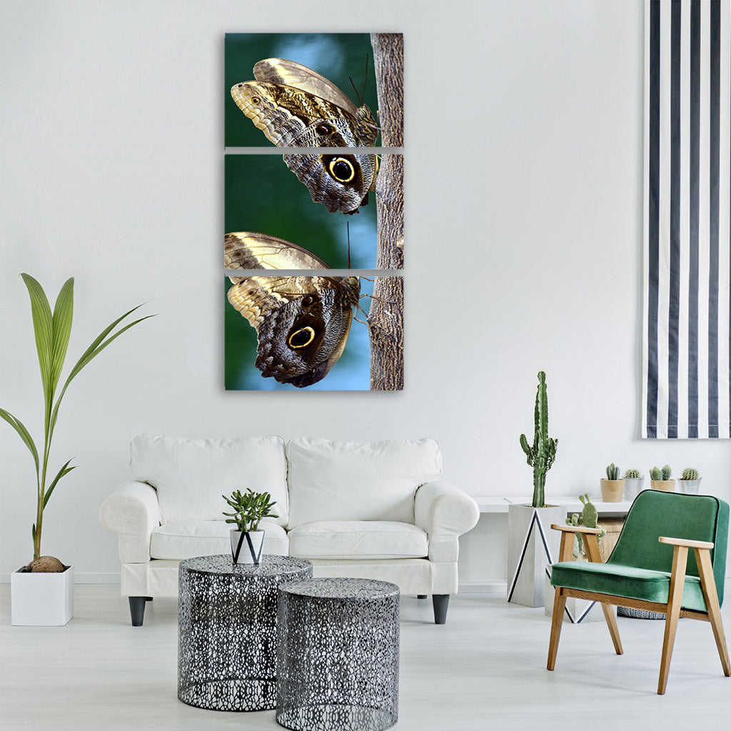 butterfly owl butterfly tropical Vertical Canvas Wall Art