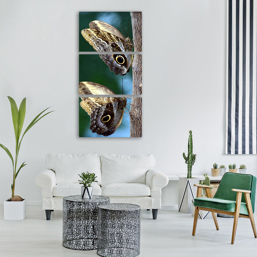 butterfly owl butterfly tropical Vertical Canvas Wall Art