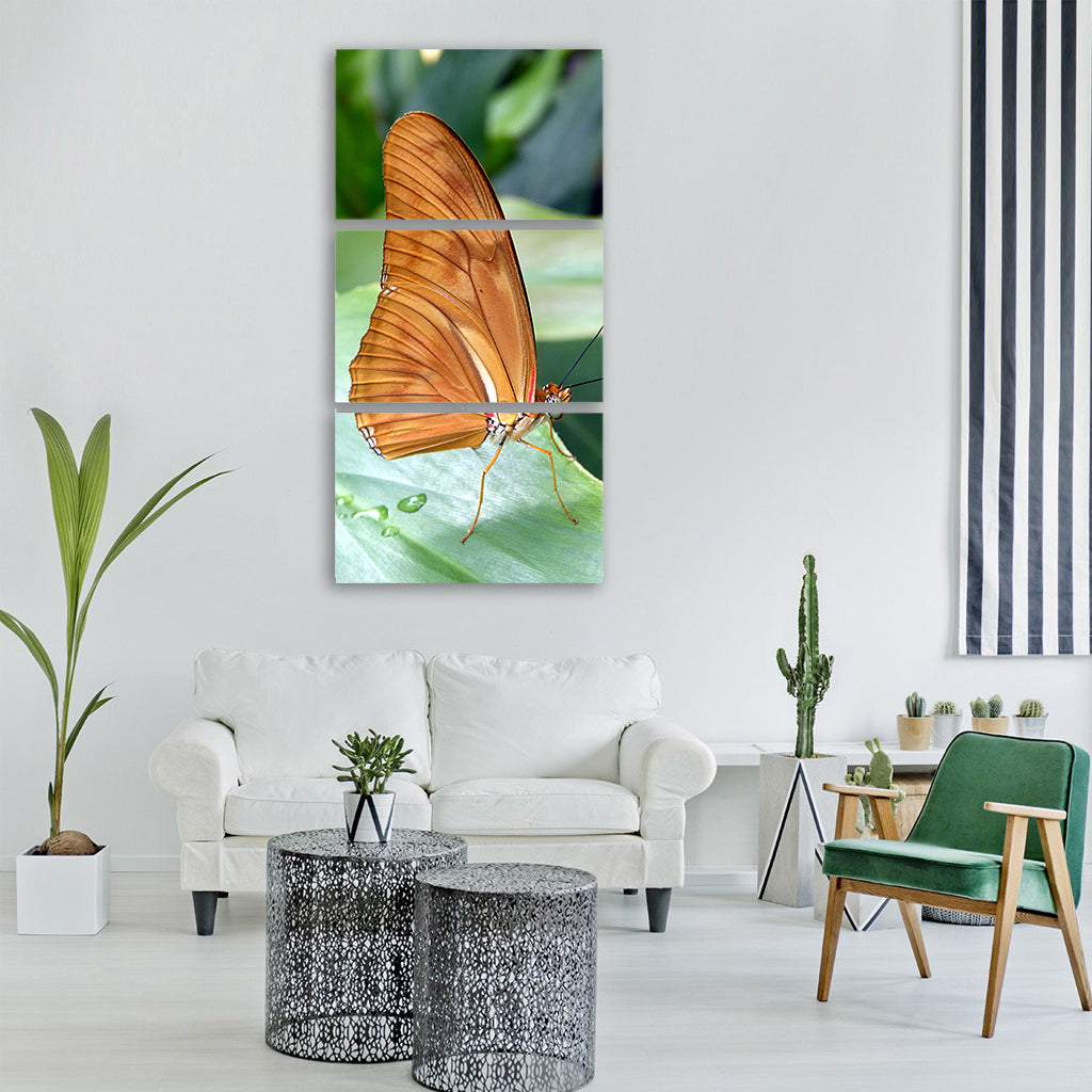 butterfly insect nature wing macro Vertical Canvas Wall Art