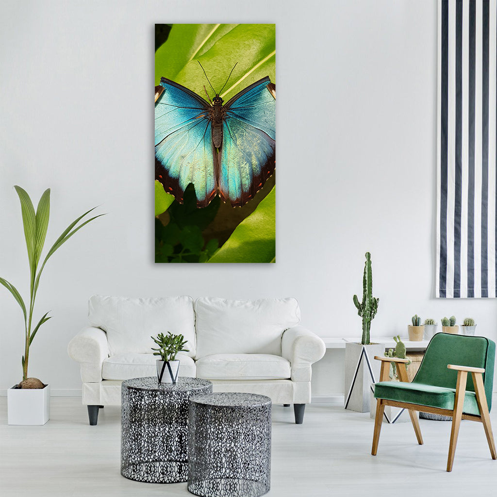 butterfly tropical sunny hot blue Vertical Canvas Wall Art