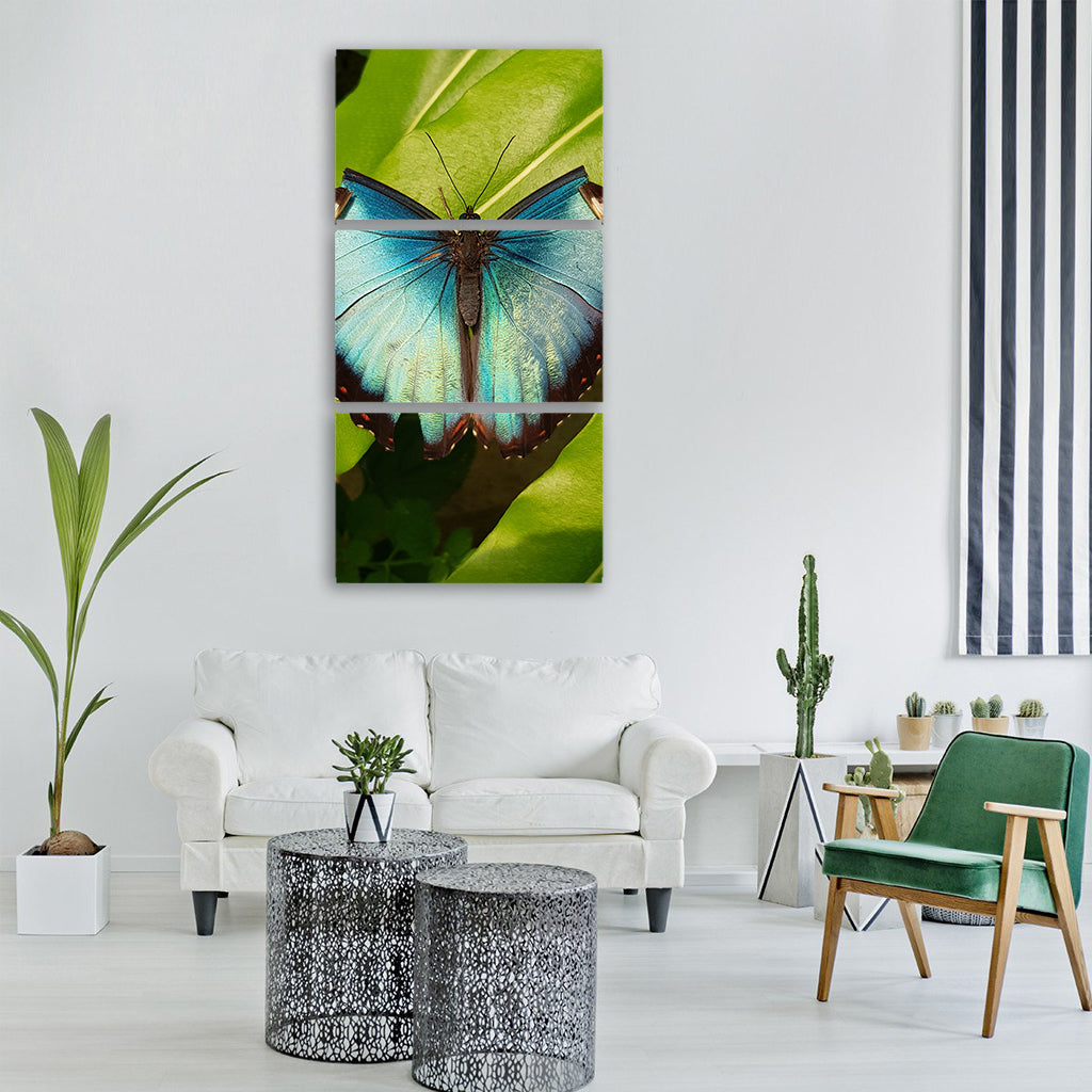 butterfly tropical sunny hot blue Vertical Canvas Wall Art
