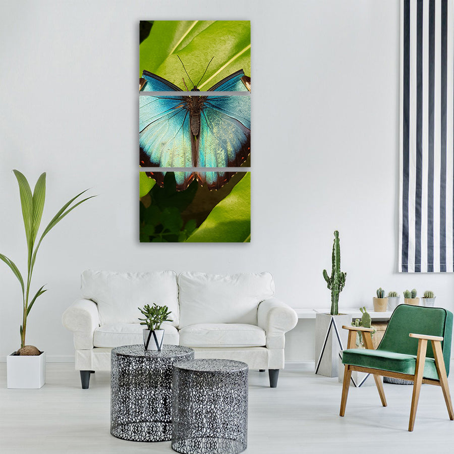 butterfly tropical sunny hot blue Vertical Canvas Wall Art