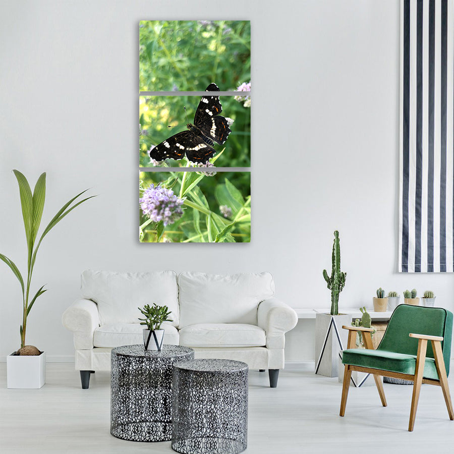 butterfly butterflies european map Vertical Canvas Wall Art