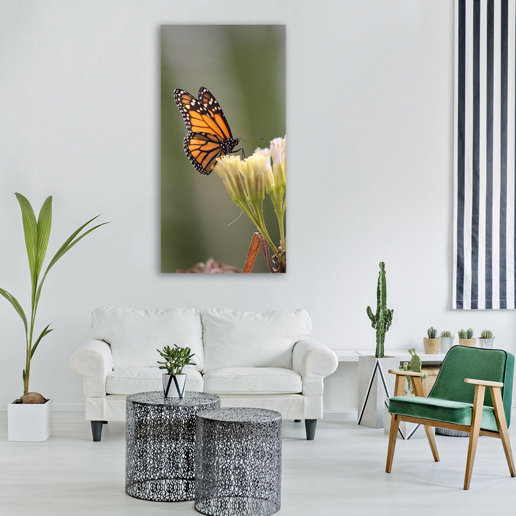 butterfly insects insect nature Vertical Canvas Wall Art