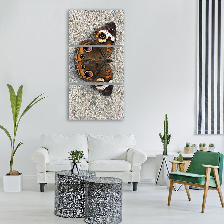 butterfly summer nature insect Vertical Canvas Wall Art