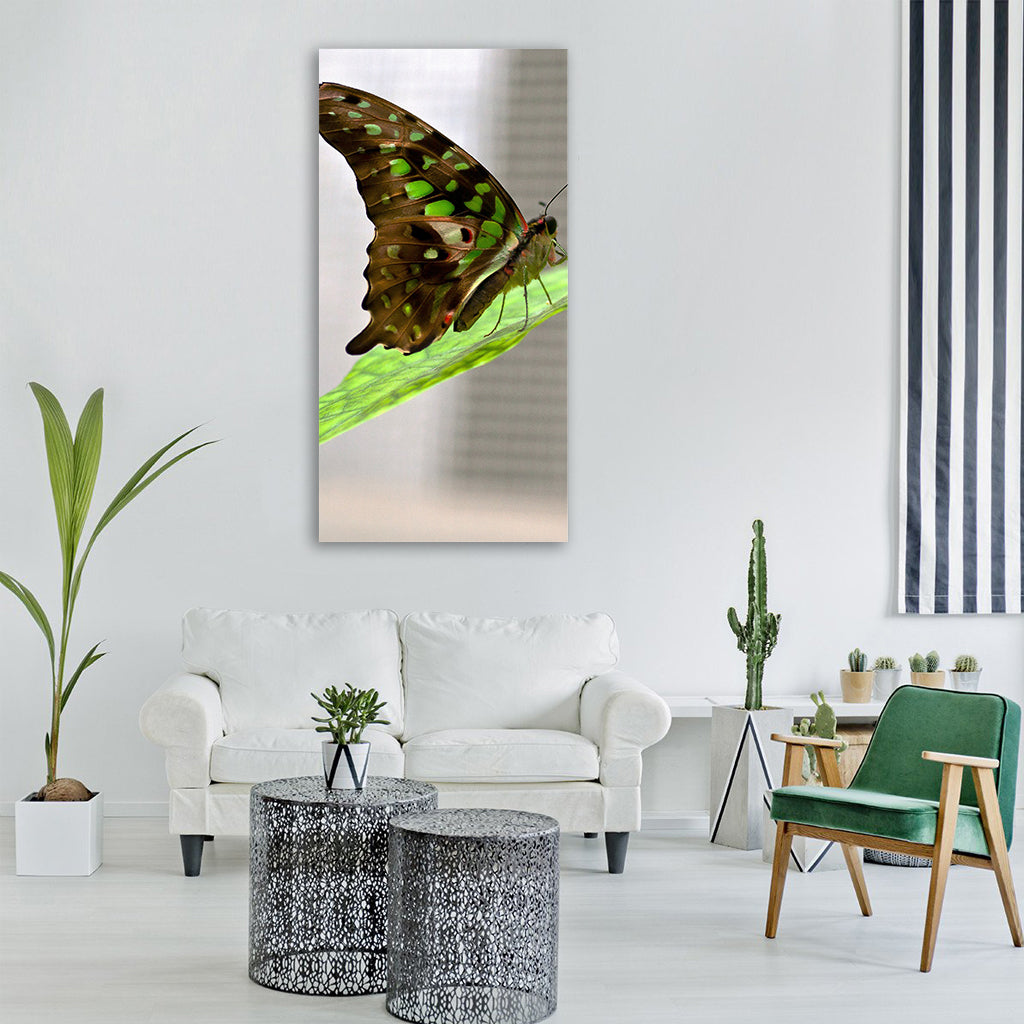 butterfly macro butterflies insect Vertical Canvas Wall Art