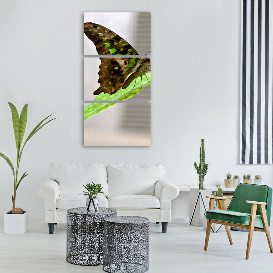 butterfly macro butterflies insect Vertical Canvas Wall Art