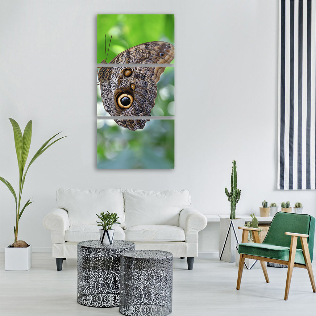 butterfly insect morphosfalter Vertical Canvas Wall Art