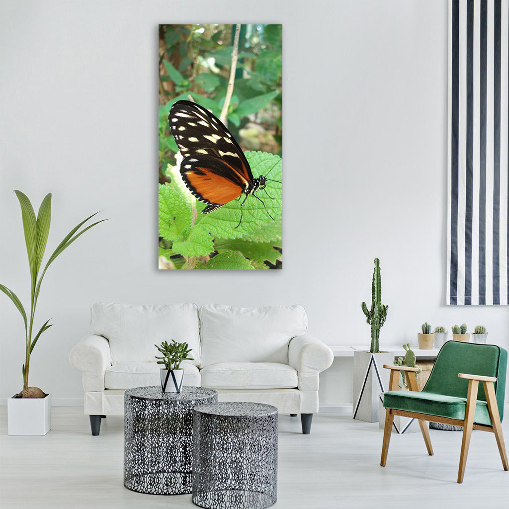butterfly photo butterfly costa rica Vertical Canvas Wall Art