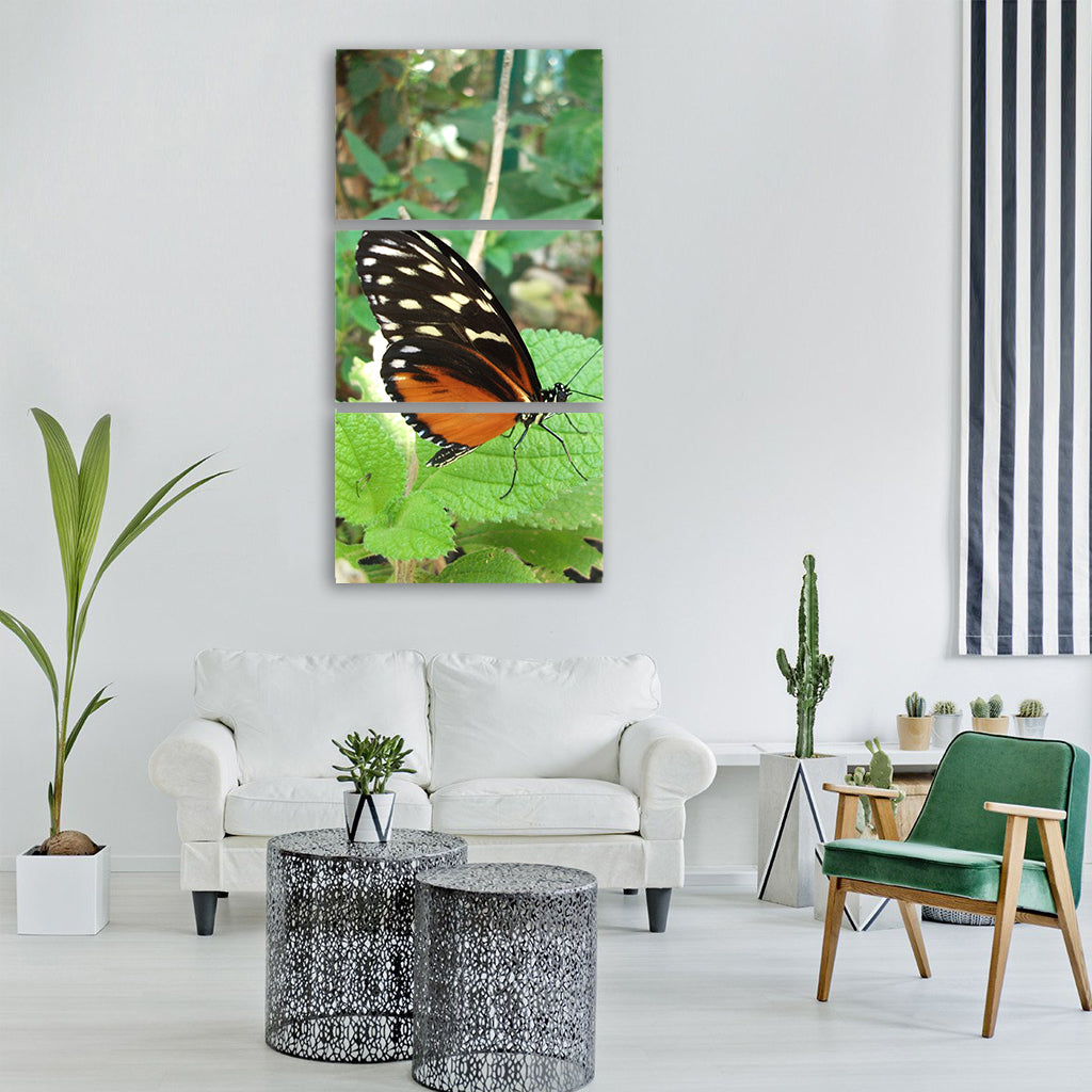 butterfly photo butterfly costa rica Vertical Canvas Wall Art