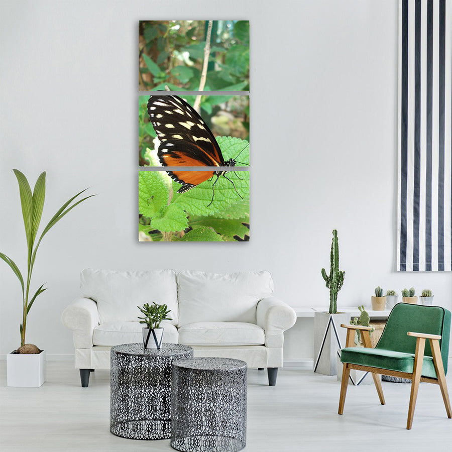 butterfly photo butterfly costa rica Vertical Canvas Wall Art
