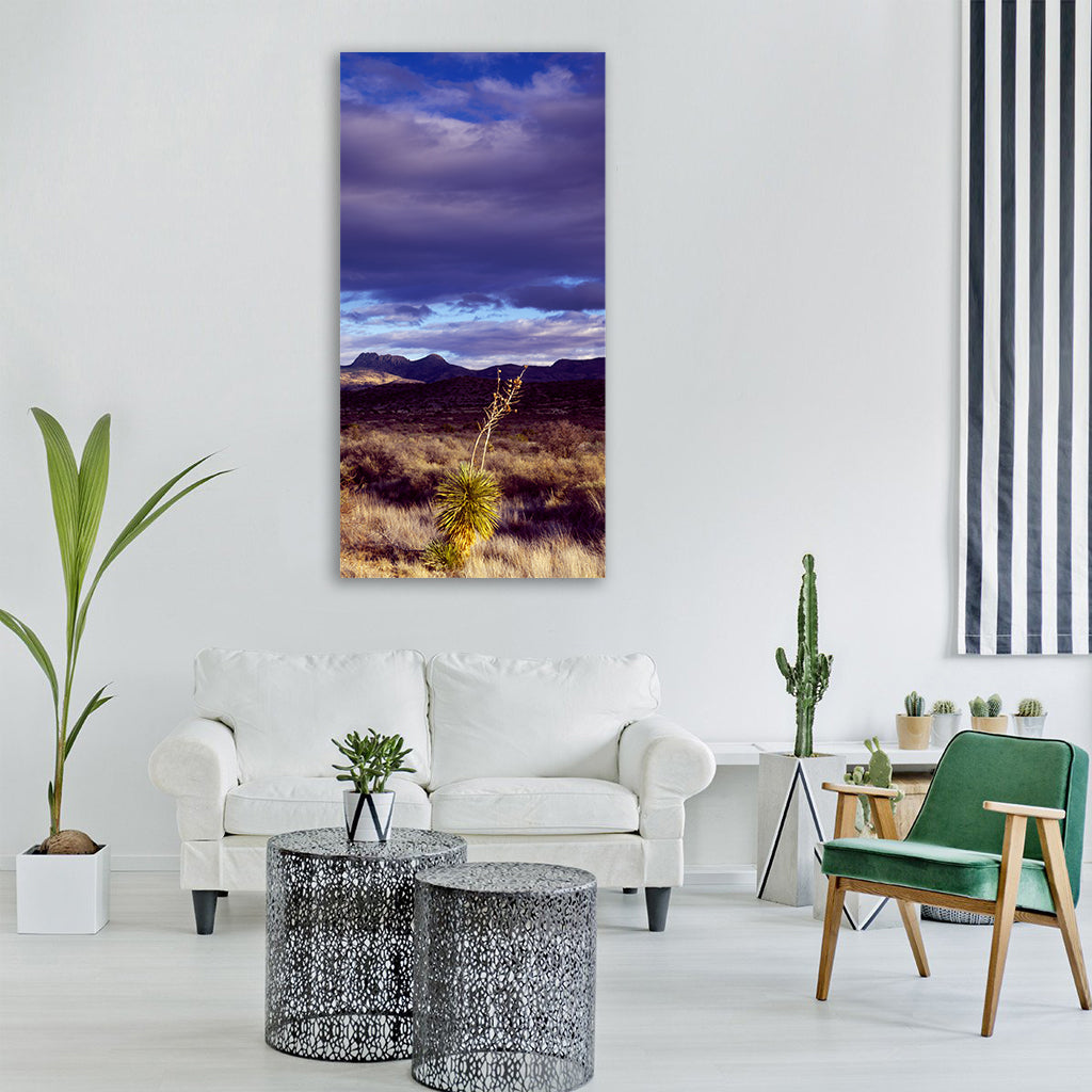 cactus desert texas prairie usa Vertical Canvas Wall Art