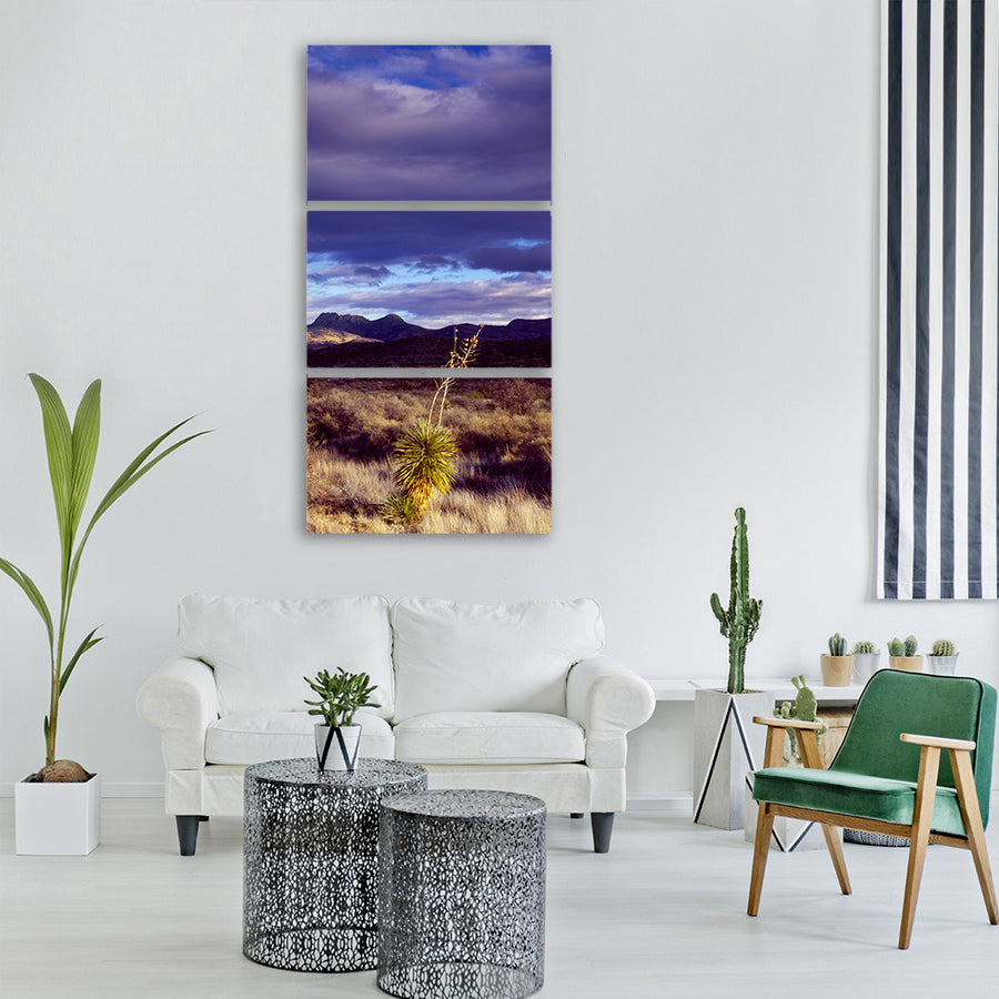 cactus desert texas prairie usa Vertical Canvas Wall Art