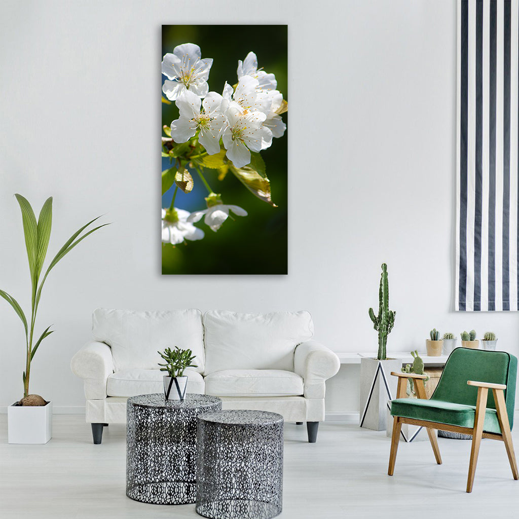 cherry blossom nature spring tree Vertical Canvas Wall Art