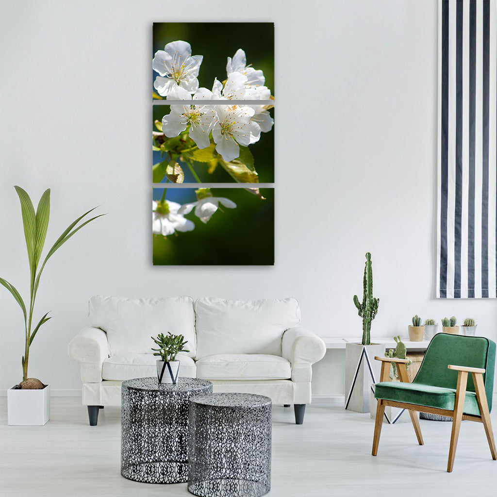 cherry blossom nature spring tree Vertical Canvas Wall Art
