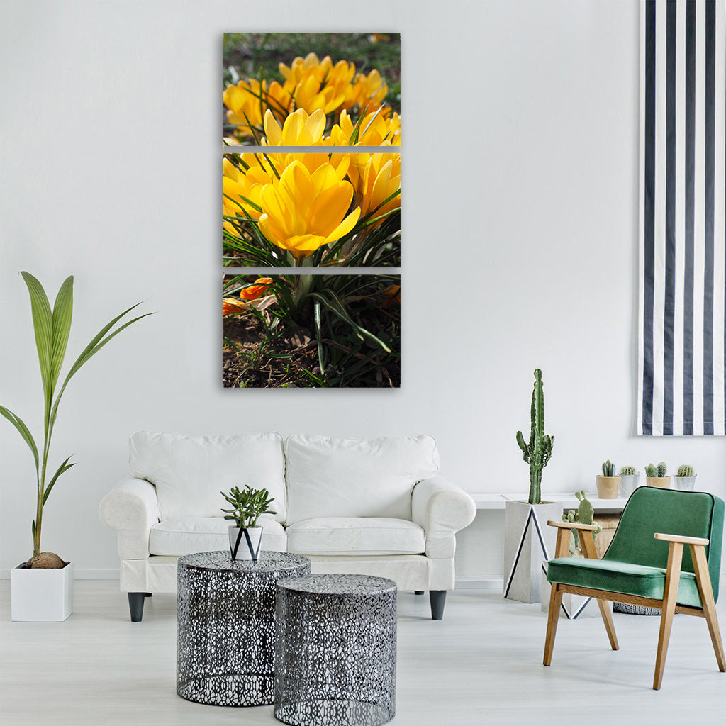 crocus flower spring bühen yellow Vertical Canvas Wall Art