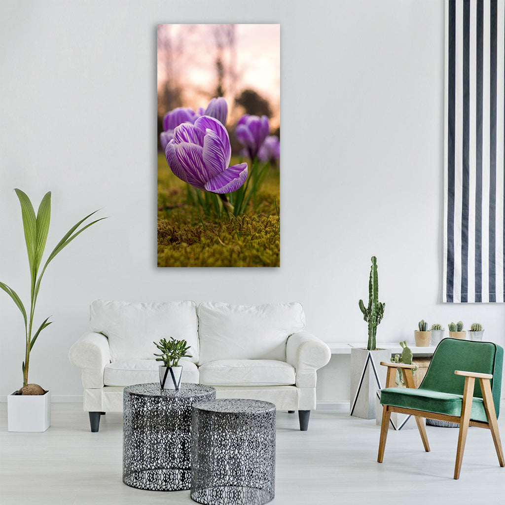 crocus rush spring bühen flower Vertical Canvas Wall Art