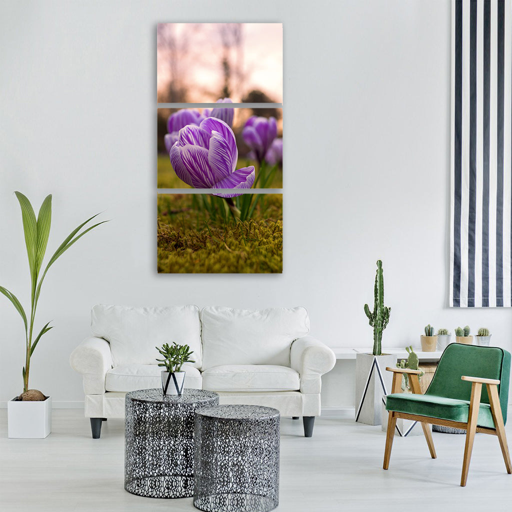 crocus rush spring bühen flower Vertical Canvas Wall Art