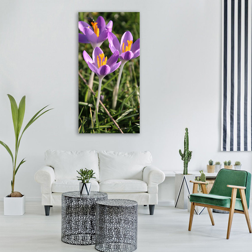 crocus flower for spring flowers Vertical Canvas Wall Art