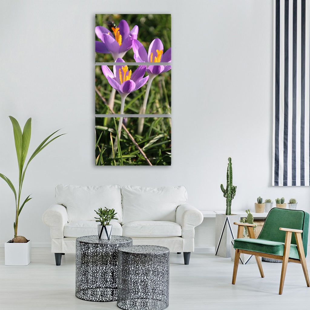 crocus flower for spring flowers Vertical Canvas Wall Art