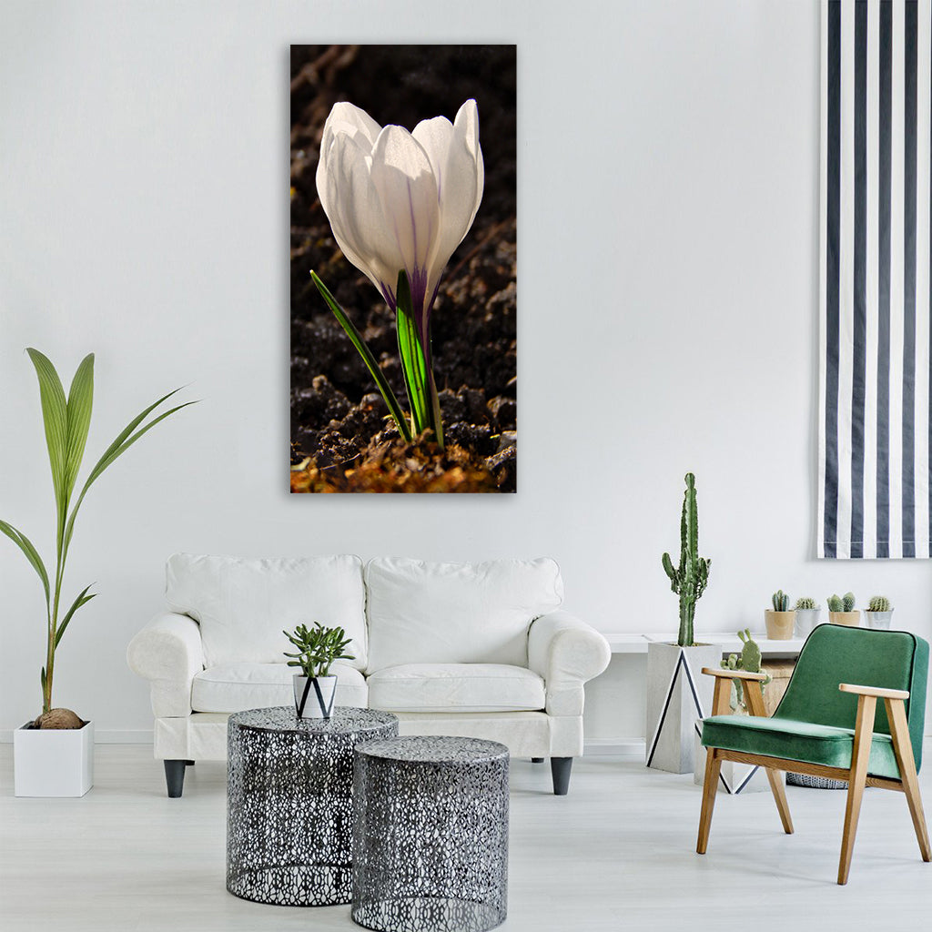 crocus spring macro flower nature Vertical Canvas Wall Art