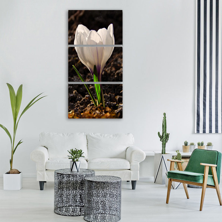 crocus spring macro flower nature Vertical Canvas Wall Art