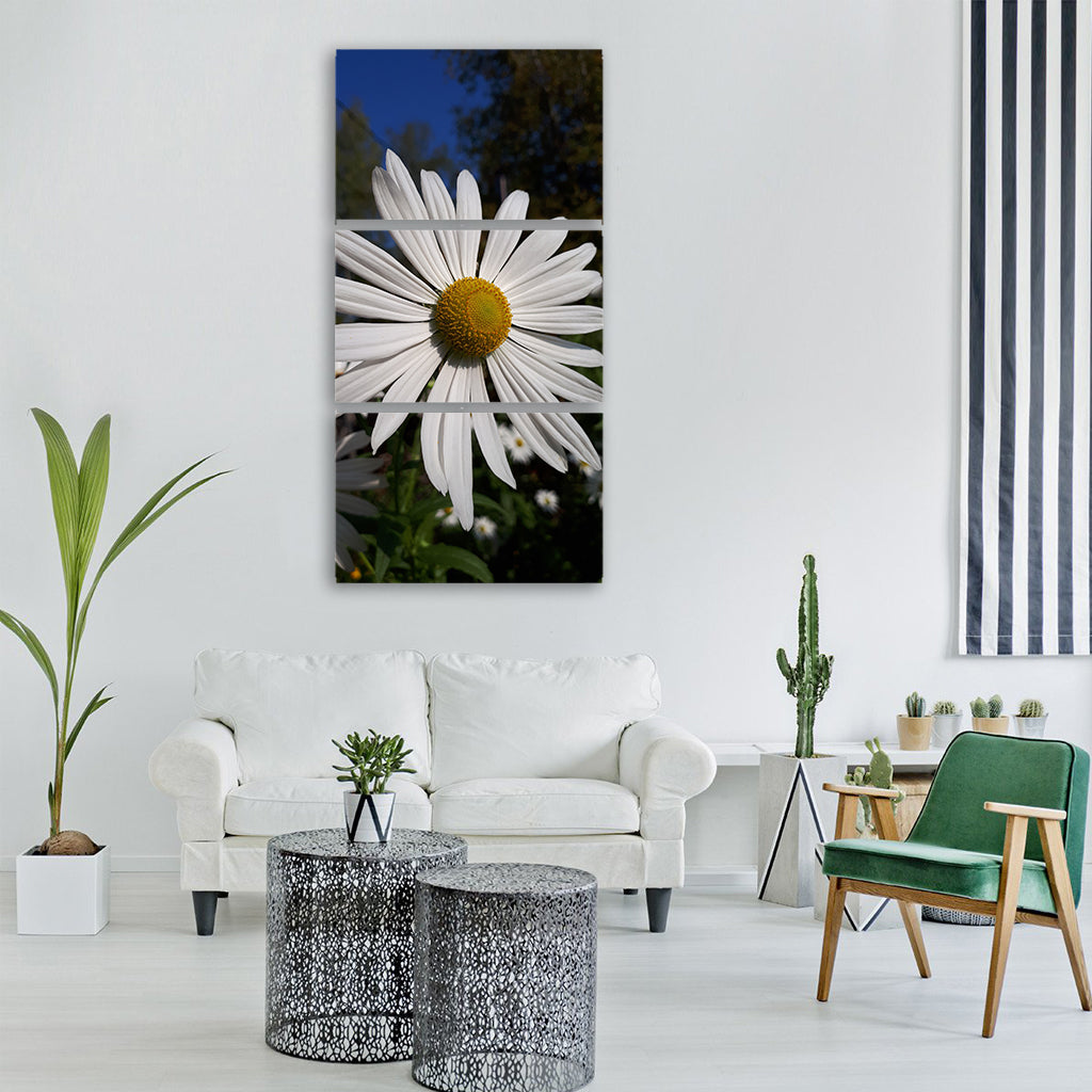 daisy white autumn Vertical Canvas Wall Art