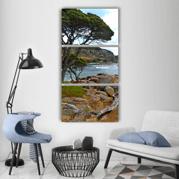 Driftwood beach coast water nature Vertical Canvas Wall Art